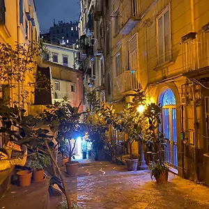 Palm's House Apartment